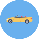 carro icon