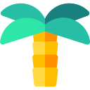 palmera icon