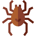 araignée 