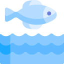 pescado