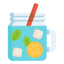 mojito icon