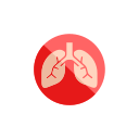 pulmones icon