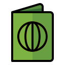 pasaporte icon