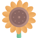 girasol icon