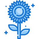 girasol icon