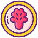 kimchi icon