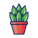 plantar 