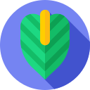 spathiphyllum icon