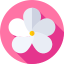 plumeria icon