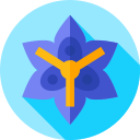 passiflora icon