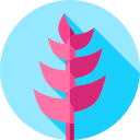 heliconia icon