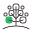 Árbol icon