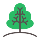 Árbol icon