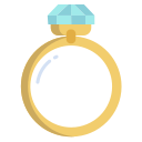 anillo icon