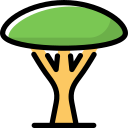 Árbol