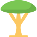 Árbol icon