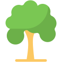 Árbol icon