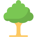 Árbol icon