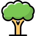 Árbol icon