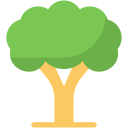 Árbol icon