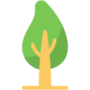 Árbol icon