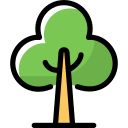 Árbol icon