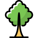 Árbol icon