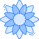 girasol icon