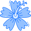 hibisco icon