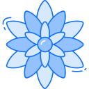 dalia icon