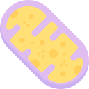 mitocondrias 