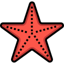 estrella de mar 