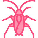 cucaracha icon