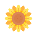 girasol icon