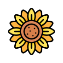 girasol icon