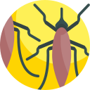 insecto icon