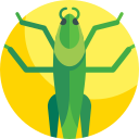 saltamontes icon