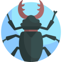 insecto icon