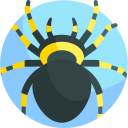 araña icon