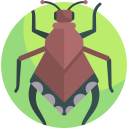 insecto icon