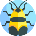 insecto icon