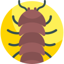 insecto icon