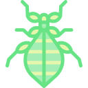 insecto hoja icon