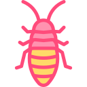 cucaracha silbante de madagascar icon