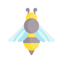 abeja