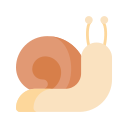 caracol icon