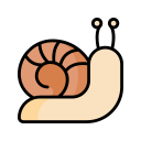 caracol icon