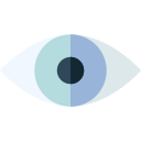 ojo icon