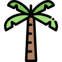 palmera icon