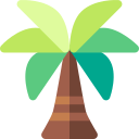 palmera